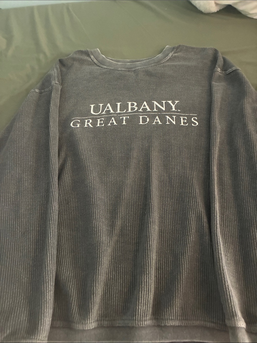 Ualbany  Crewneck Sweater in Charcoal with White Logo